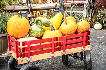 Red wagon full of pumpkins
