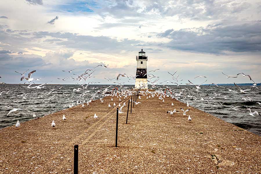Black and white lighthouse at end of jetty, flock of seagulls flying around