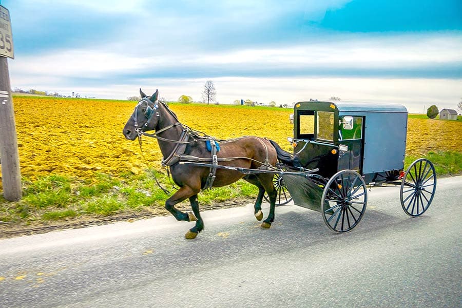Horse trotting down highway pulling Amish carriage