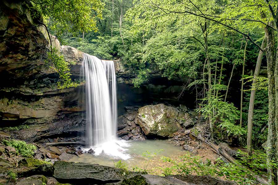 Beautiful waterfall hidden in forest ravine