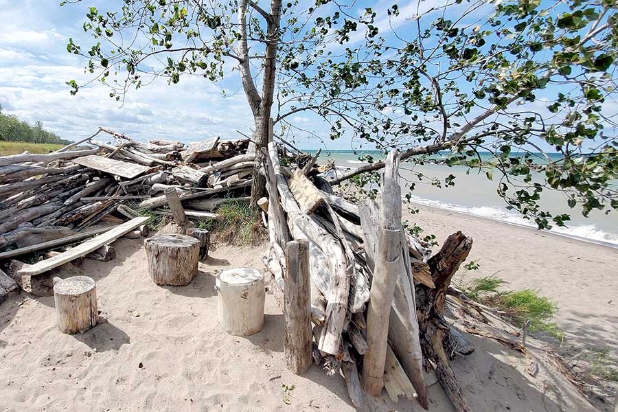 Driftwood piled on sandy beach
