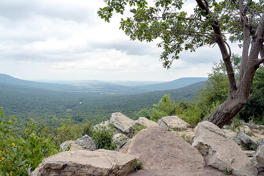 View of the valley from the Hawk Mountain overlook